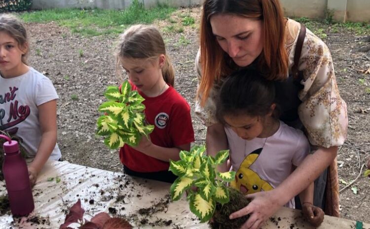  Kokedema, un successo tutto verde